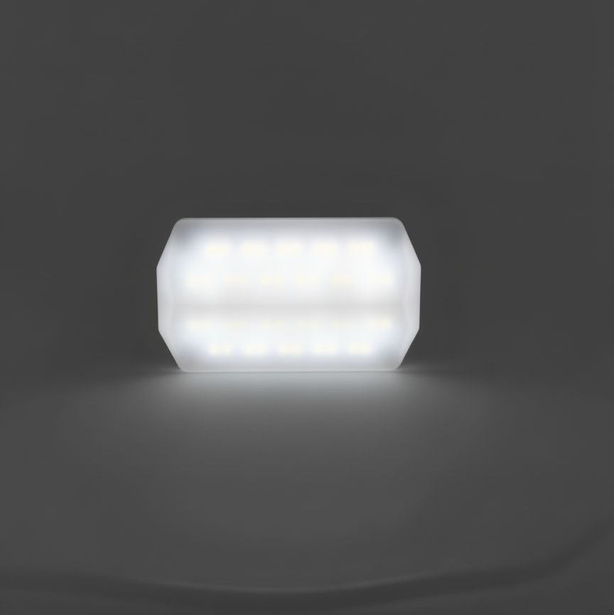 Portable LED Light