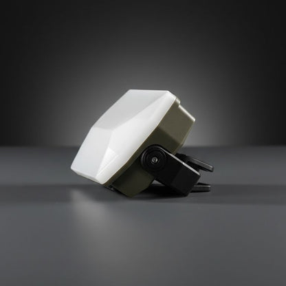 Portable LED Light