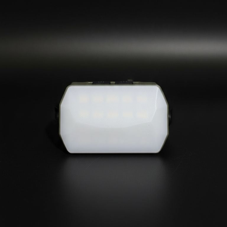 Portable LED Light