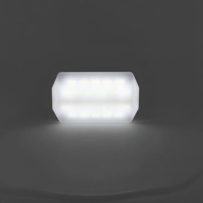 Portable LED Light