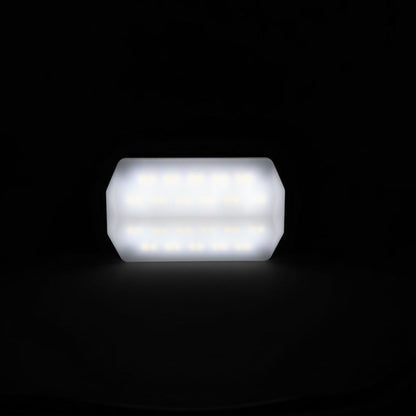 Portable LED Light